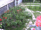 BILD5988