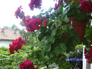 BILD5994