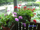 BILD5996