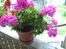 BILD5997