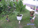 BILD6001
