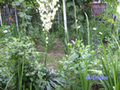 BILD6008