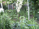 BILD6009