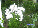BILD6016