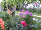 BILD6017