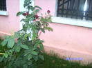 BILD6022