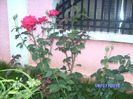 BILD6023