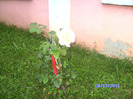 BILD6024
