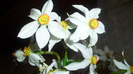 CIMG0778