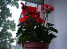 DSC03407