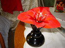 DSC03438