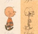 anatomie-personaje-desene-animate-schelet-14