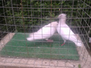 %u0635%u0648%u0631%u0629%u0661%u0663%u0660%u0661