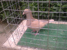 صورة١٣٤٩
