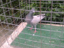 %u0635%u0648%u0631%u0629%u0661%u0663%u0663%u0668