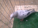 %u0635%u0648%u0631%u0629%u0661%u0663%u0664%u0663