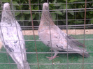 %u0635%u0648%u0631%u0629%u0661%u0663%u0664%u0668
