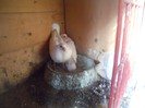 DSCN2401