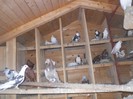 DSCN2406