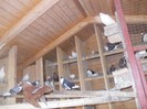 DSCN2411