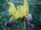 012