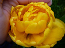 4 mai 2011