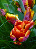 4 mai 2011