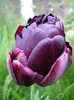 4 mai 2011