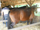 DSCN1122