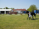 DSCN1146
