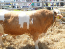 DSCN1147
