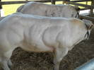 DSCN1153
