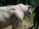 DSCN1164