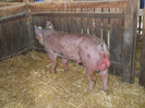 DSCN1182