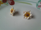 IMG1861fimo