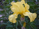 037