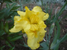 045