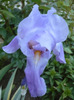 042