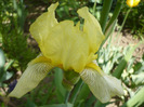 019