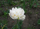 P1070076