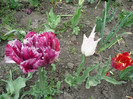 P1070077