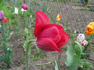 P1070079