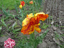 P1070081