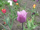 P1070083