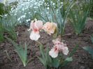 046