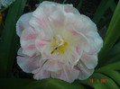 DSC06473