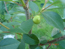 DSC06491