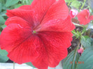 DSC06480