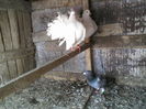 P14-05-11_10.14[1]