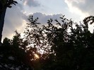 100_4487